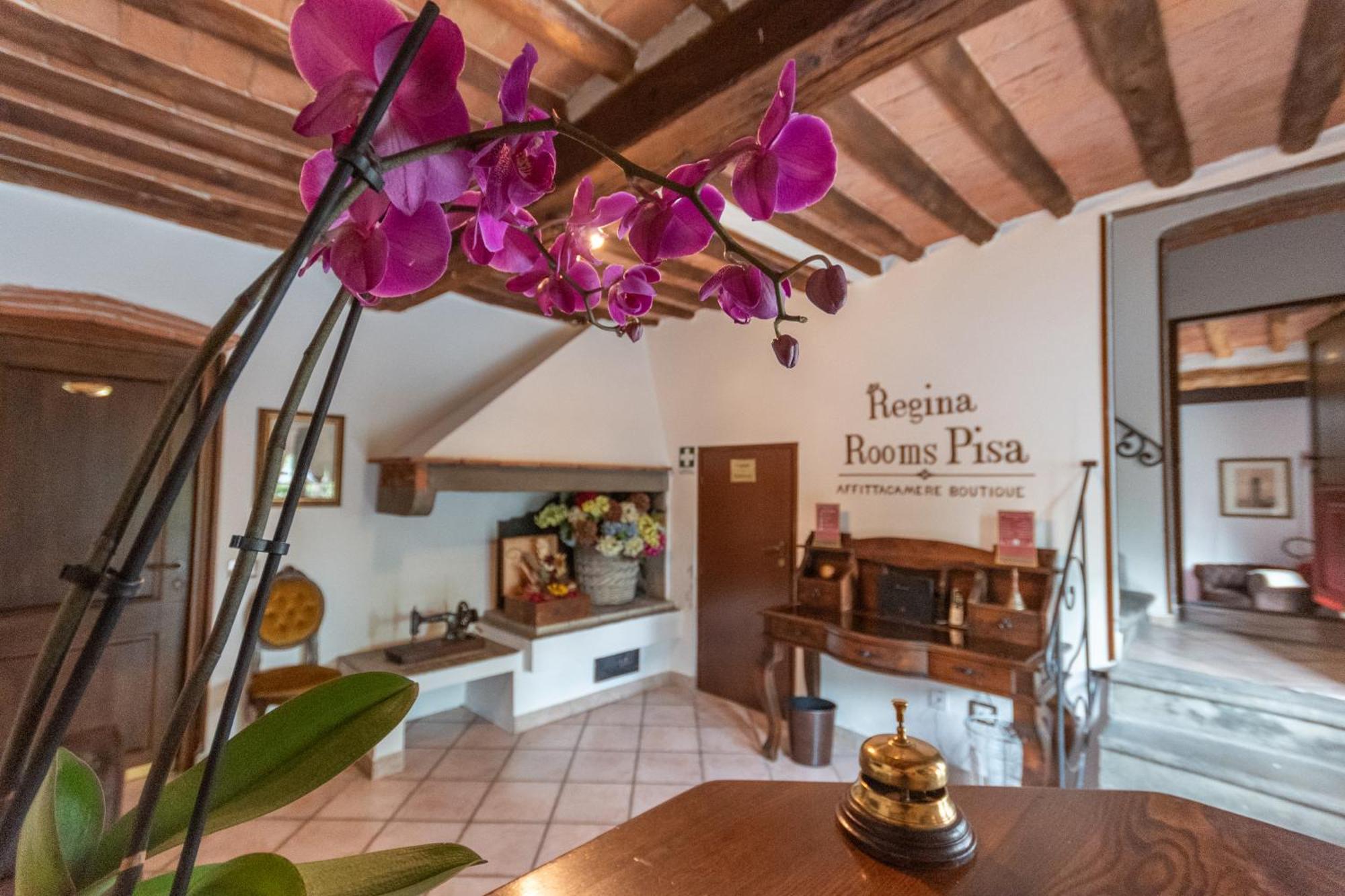 Regina Rooms Pisa Exterior photo